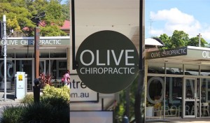 olive chiropractic's practice